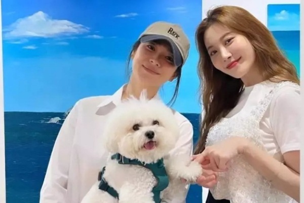 Song Hye Kyo lộ diện giữa ồn ào đời tư
